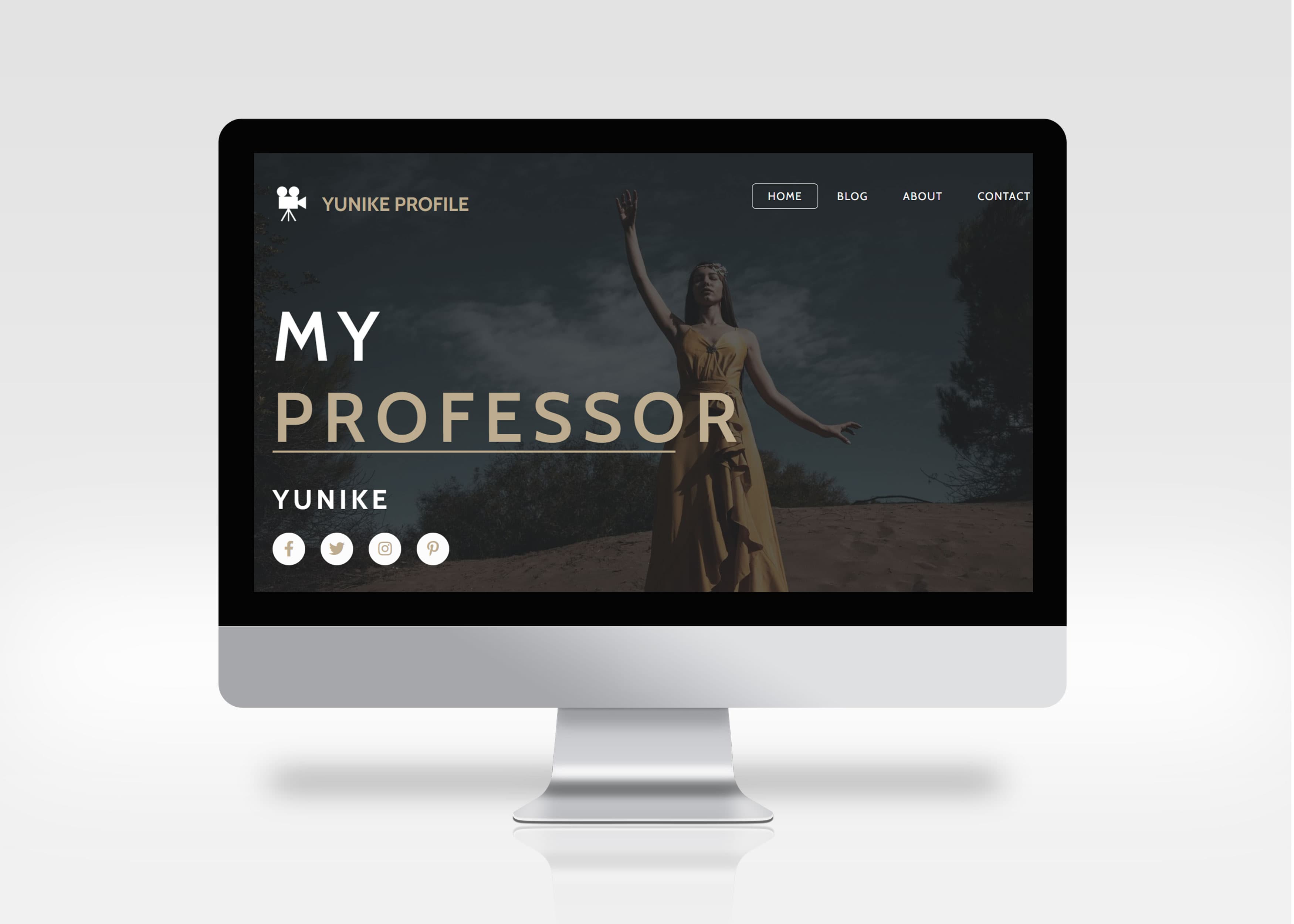 Web Profile Professor